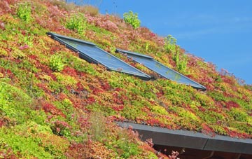 Walmersley living roof systems